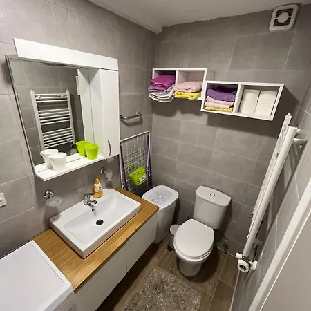 Modern Nearby Downtown & Peaceful Forest Park Apartment